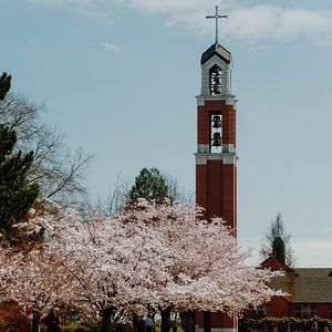 Image post by @portlandpilots on Instagram