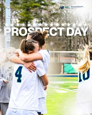Image post by @endicottwlax on Instagram