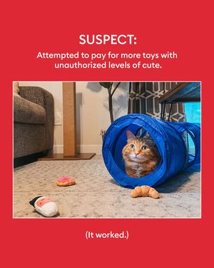 Image post by @petsmart on Instagram