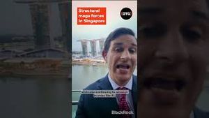Video post by @blackrock on YouTube