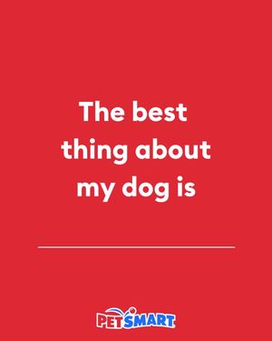 Video post by @petsmart on TikTok