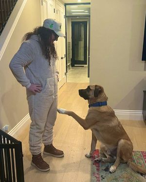 Image post by @pftcommenter on Instagram