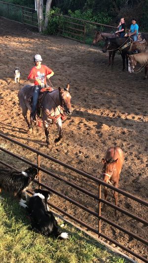 Video post by @Rodeo Girlies Club on Facebook