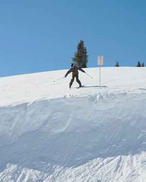 Image post by @newschoolers on Instagram