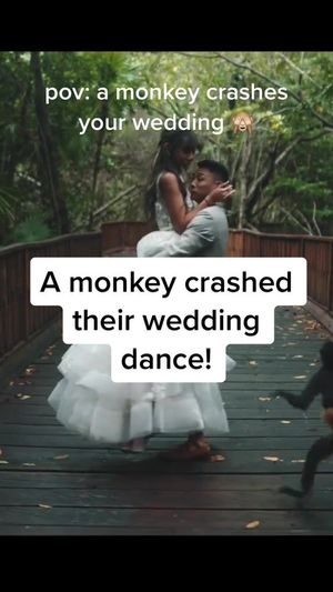 Video post by @lovestoriestv on TikTok