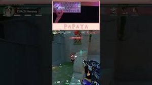 Video post by @artisanpapaya on YouTube