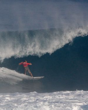 Image post by @cole_houshmand on Instagram