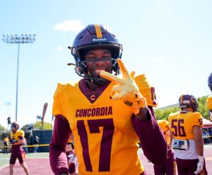 Image post by @the_stingers on Instagram