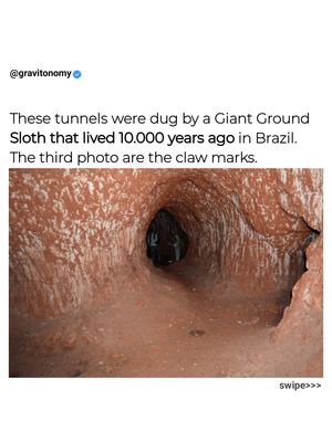 Image post by @gravitonomy on Instagram