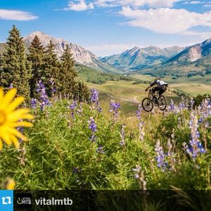 Image post by @skicrestedbutte on Instagram