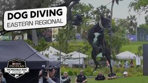Video post by @nbcsports on YouTube