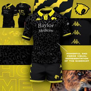 Image post by @houstonsabercats on Instagram