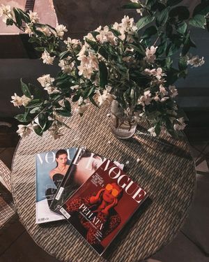 Image post by @tanya_zavadich on Instagram