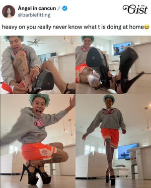 Image post by @thegistusa on Instagram