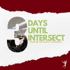 Image post by @elon_intersect on Instagram