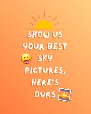 Image post by @pickocny on Instagram