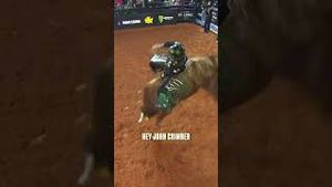 Video post by @pbr on YouTube