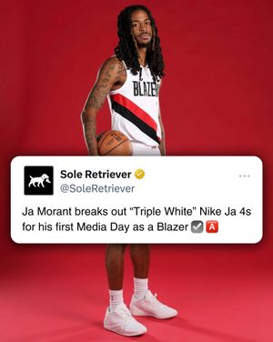 Image post by @soleretriever on Instagram