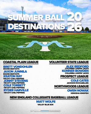 Image post by @mt_baseball on Instagram