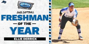 Image post by @LWCSoftball on Twitter