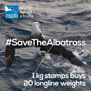 Image post by @rspb on Instagram