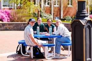 Image post by @endicottcollege on Instagram