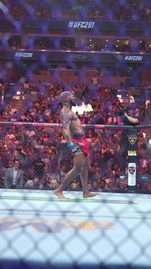 Video post by @ufc on TikTok