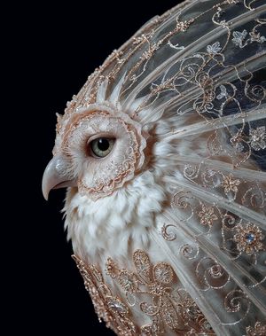 Image post by @karolinegeorges.art on Instagram