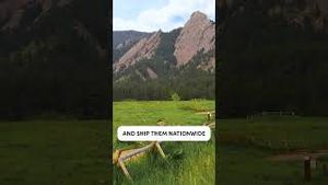 Video post by @titanvans on YouTube