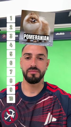 Video post by @nerevolution on TikTok