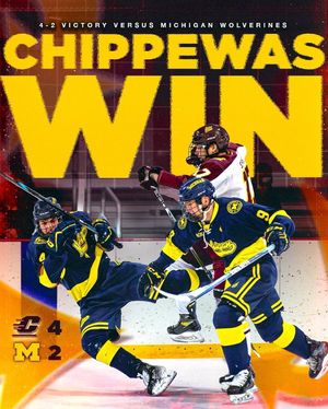 Image post by @cmuhockeyd3 on Instagram