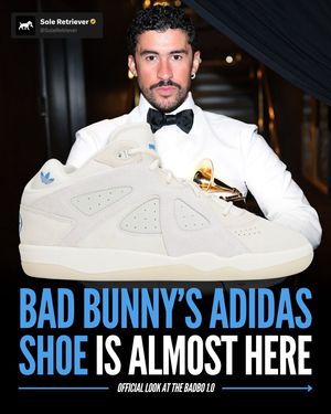 Image post by @soleretriever on Instagram