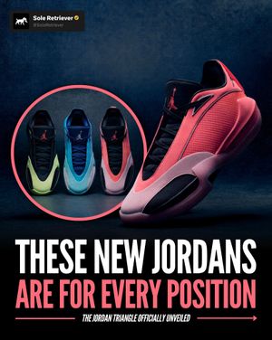 Image post by @soleretriever on Instagram