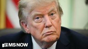 Video post by @msnbc on YouTube