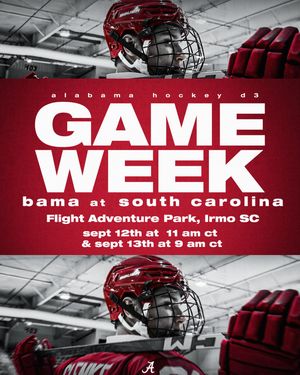 Image post by @alabamahockeyd3 on Instagram