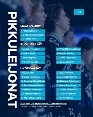 Image post by @leijonatfi on Instagram