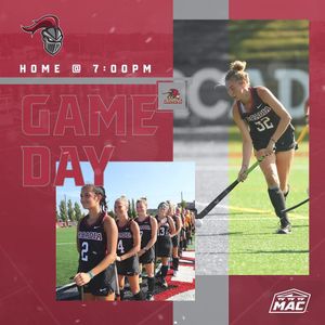 Image post by @arcadia_knights on Instagram