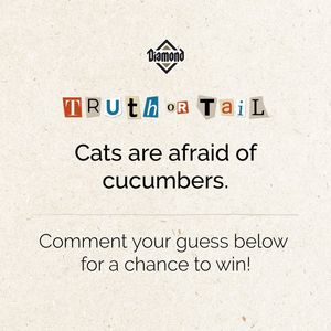Image post by @diamondpetfoods on Instagram
