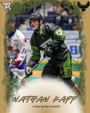 Image post by @rocknighthawks on Instagram
