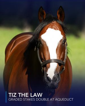 Image post by @coolmoreamerica on Instagram