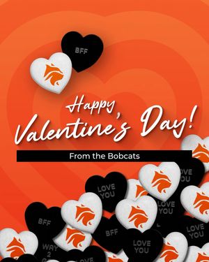 Image post by @wesleyanbobcats on Instagram