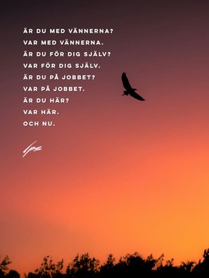 Image post by @petersvardsmyr on Instagram