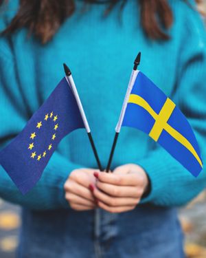 Image post by @swedense on Instagram