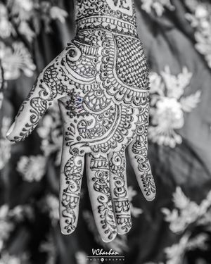 Image post by @vchauhanphotography on Instagram