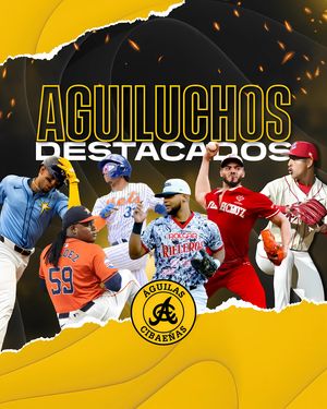 Image post by @aguilasbbc on Instagram