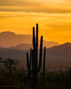 Image post by @nationalparkscollective on Instagram
