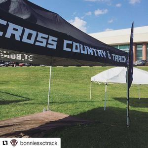 Image post by @gobonnies on Instagram