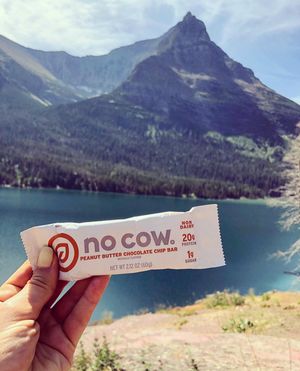 Image post by @nocow on Instagram
