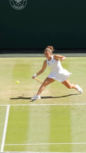 Video post by @wimbledon on Instagram