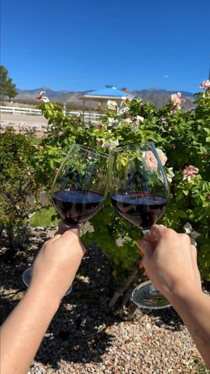 Video post by @charlestonpeakwinery on Instagram